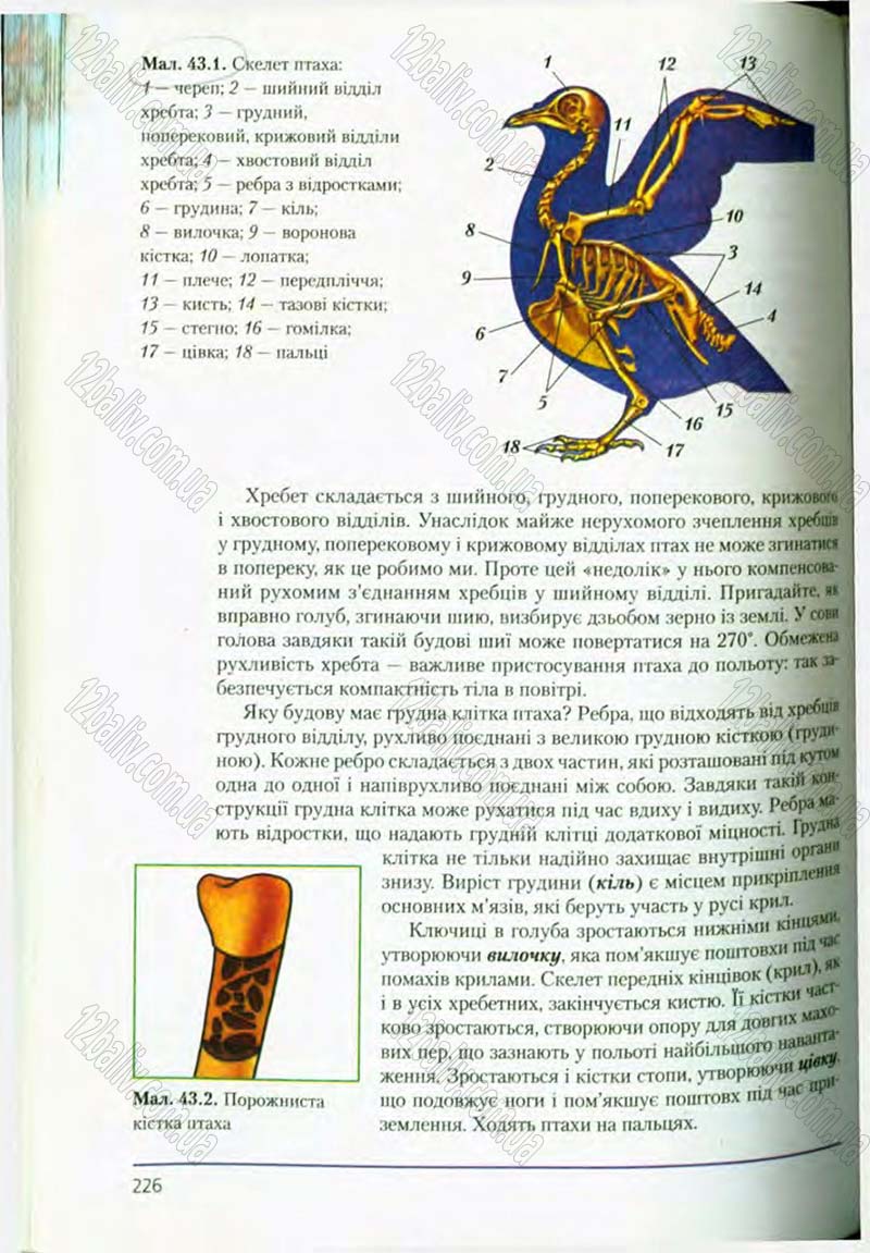 Сторінка 226 - Підручник Біологія 8 клас Т.І. Базанова, Ю.В. Павіченко, О.Г. Шатровський 2008