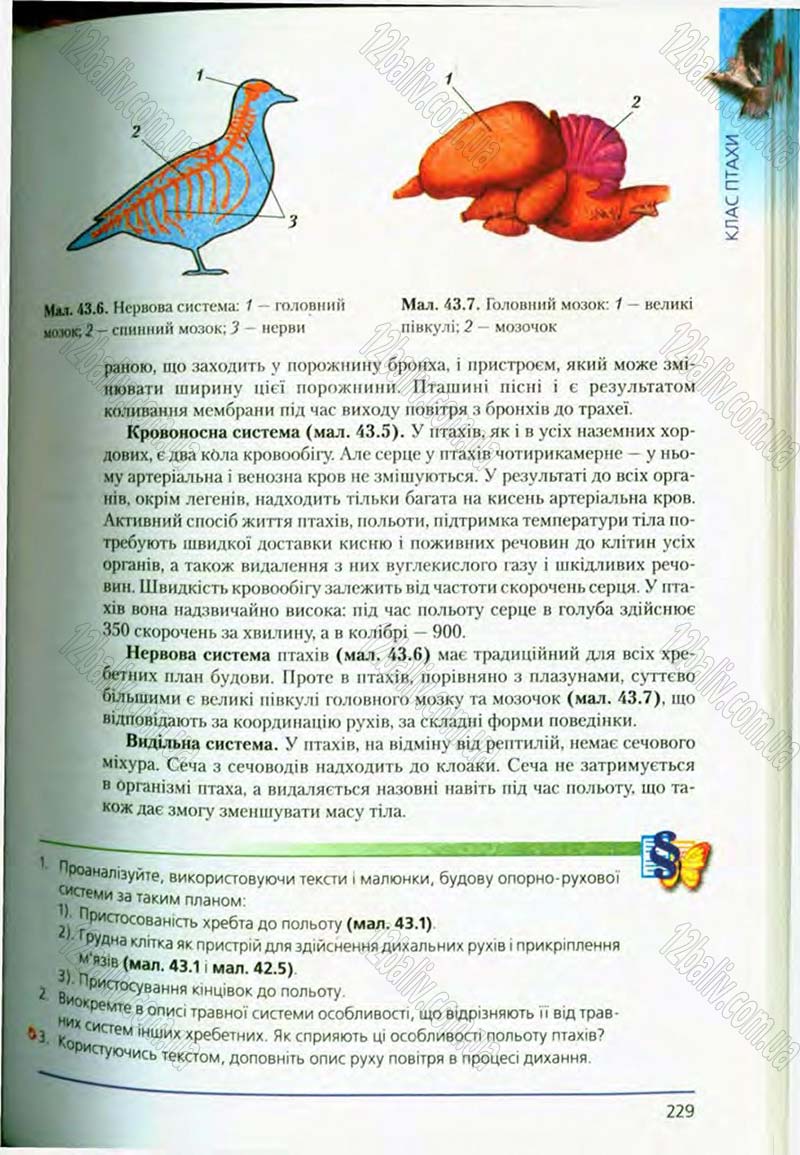 Сторінка 229 - Підручник Біологія 8 клас Т.І. Базанова, Ю.В. Павіченко, О.Г. Шатровський 2008
