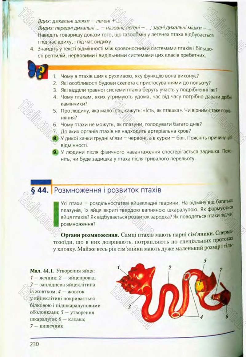 Сторінка 230 - Підручник Біологія 8 клас Т.І. Базанова, Ю.В. Павіченко, О.Г. Шатровський 2008