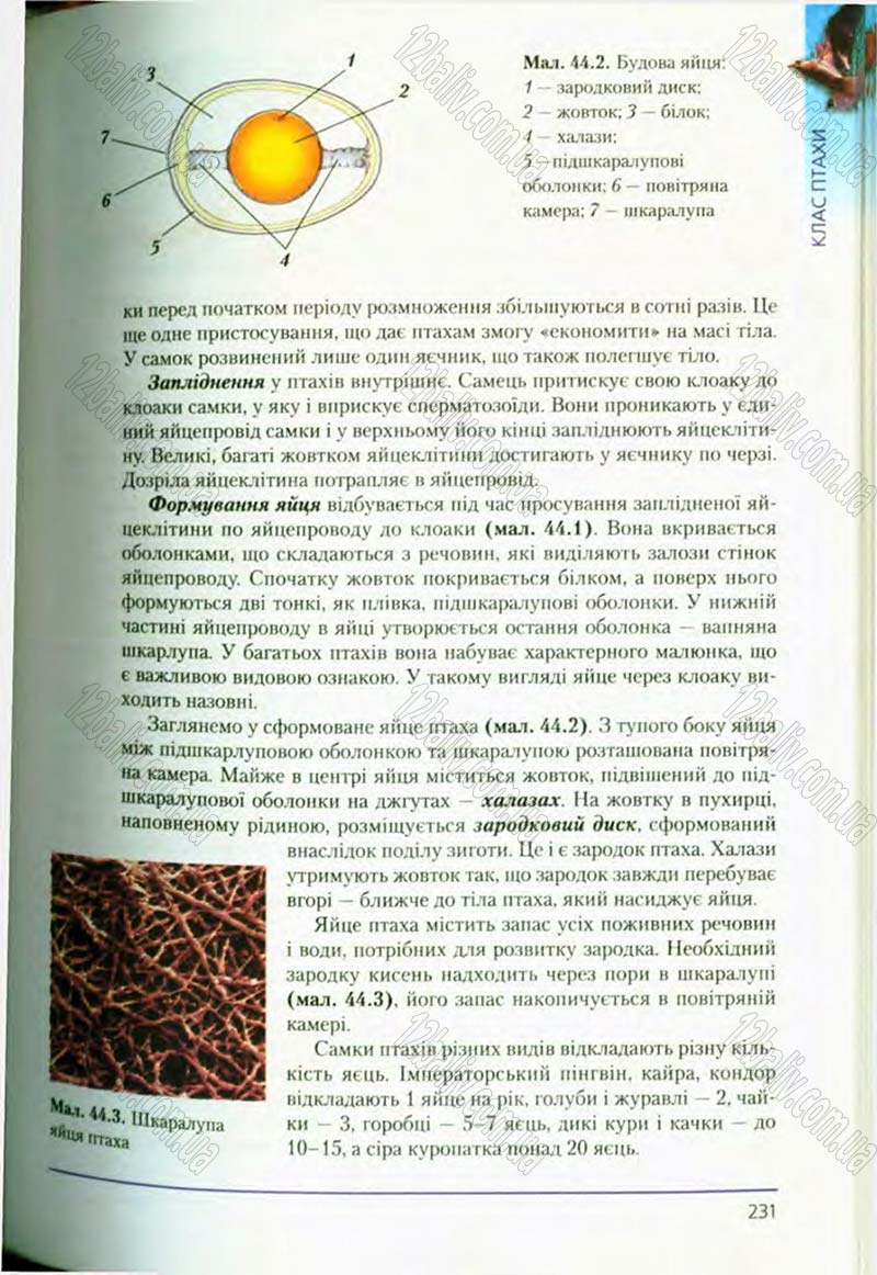 Сторінка 231 - Підручник Біологія 8 клас Т.І. Базанова, Ю.В. Павіченко, О.Г. Шатровський 2008