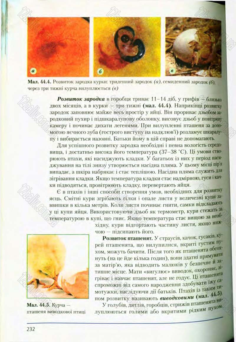 Сторінка 232 - Підручник Біологія 8 клас Т.І. Базанова, Ю.В. Павіченко, О.Г. Шатровський 2008