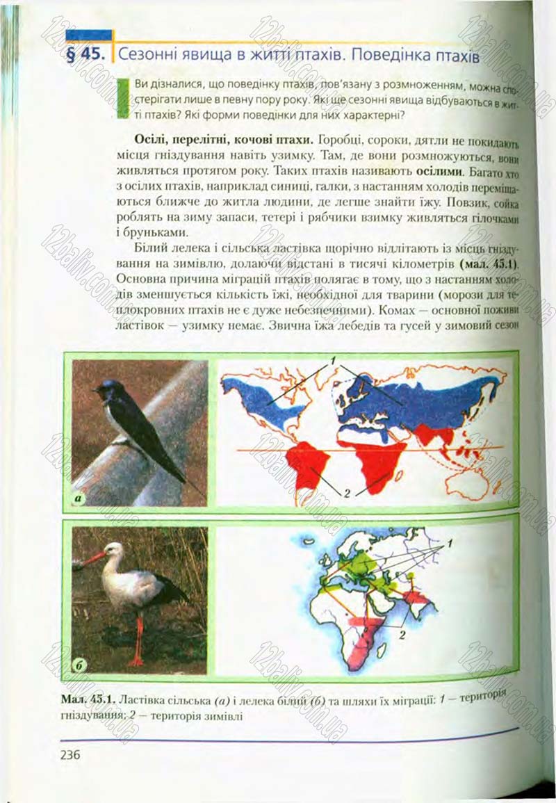 Сторінка 236 - Підручник Біологія 8 клас Т.І. Базанова, Ю.В. Павіченко, О.Г. Шатровський 2008