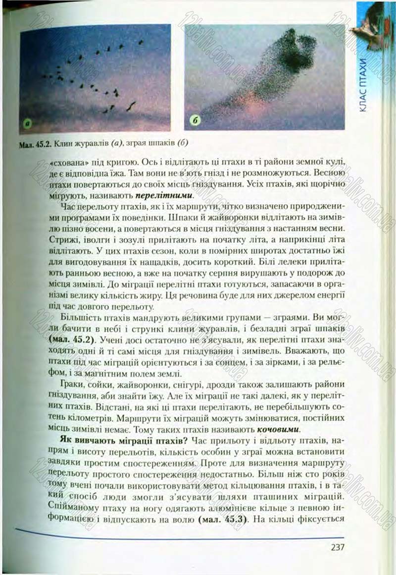 Сторінка 237 - Підручник Біологія 8 клас Т.І. Базанова, Ю.В. Павіченко, О.Г. Шатровський 2008