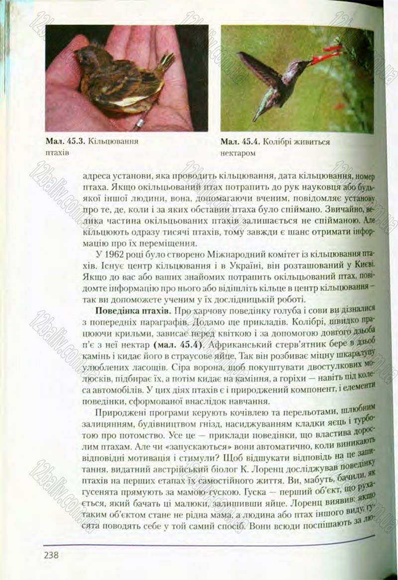 Сторінка 238 - Підручник Біологія 8 клас Т.І. Базанова, Ю.В. Павіченко, О.Г. Шатровський 2008