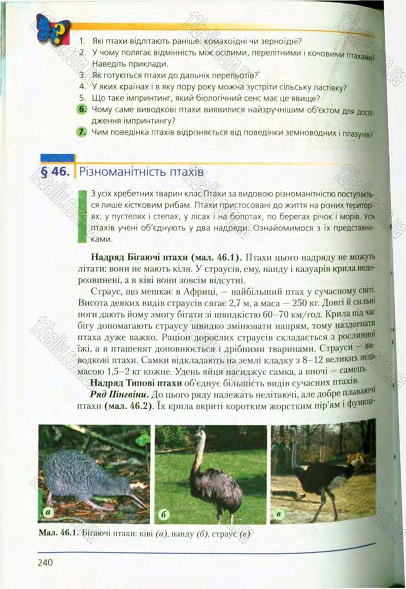 Сторінка 240 - Підручник Біологія 8 клас Т.І. Базанова, Ю.В. Павіченко, О.Г. Шатровський 2008