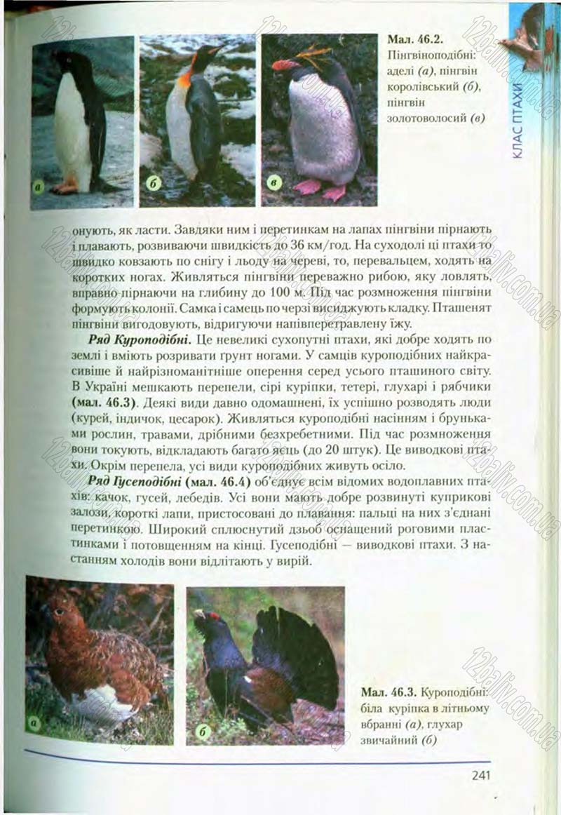 Сторінка 241 - Підручник Біологія 8 клас Т.І. Базанова, Ю.В. Павіченко, О.Г. Шатровський 2008