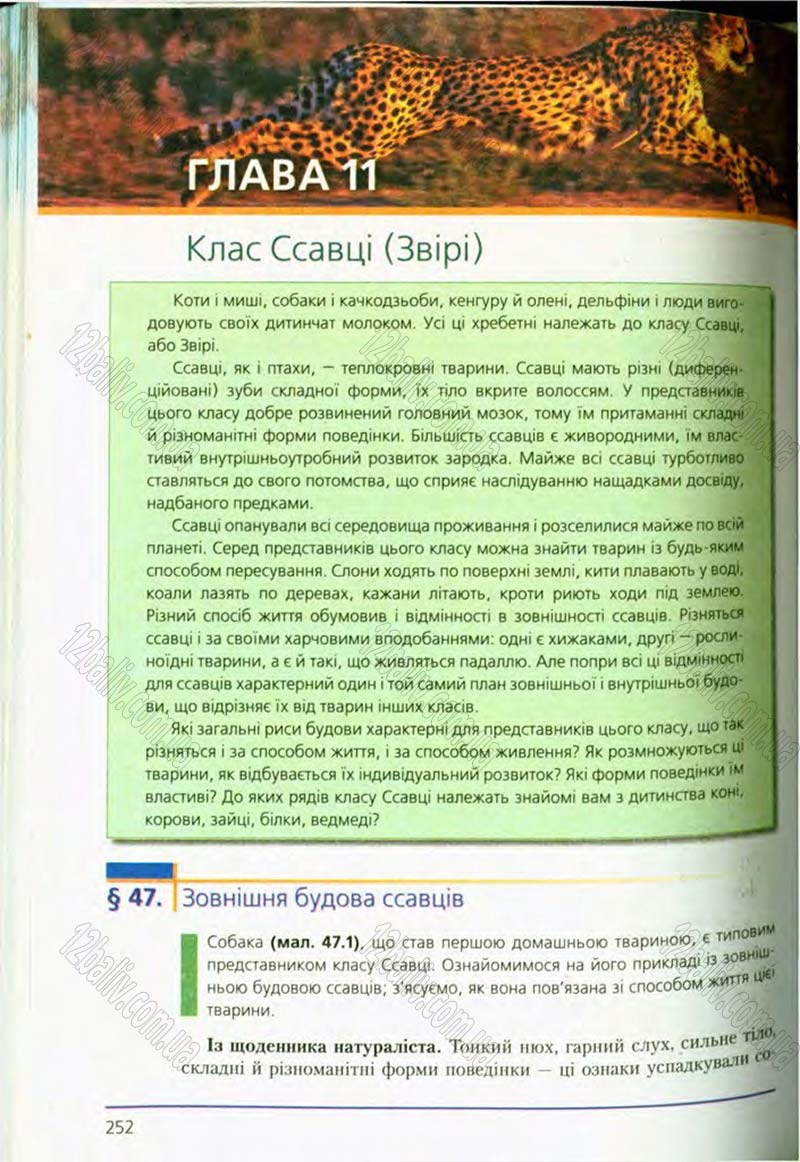 Сторінка 252 - Підручник Біологія 8 клас Т.І. Базанова, Ю.В. Павіченко, О.Г. Шатровський 2008