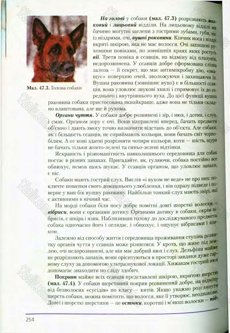 Сторінка 254 - Підручник Біологія 8 клас Т.І. Базанова, Ю.В. Павіченко, О.Г. Шатровський 2008