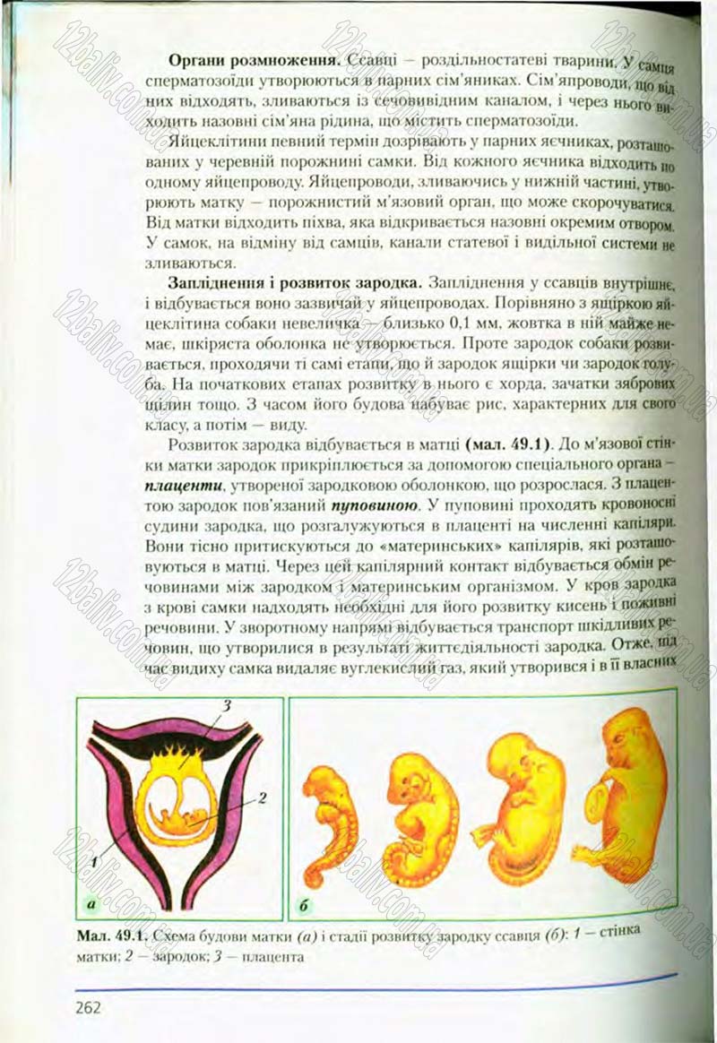 Сторінка 262 - Підручник Біологія 8 клас Т.І. Базанова, Ю.В. Павіченко, О.Г. Шатровський 2008