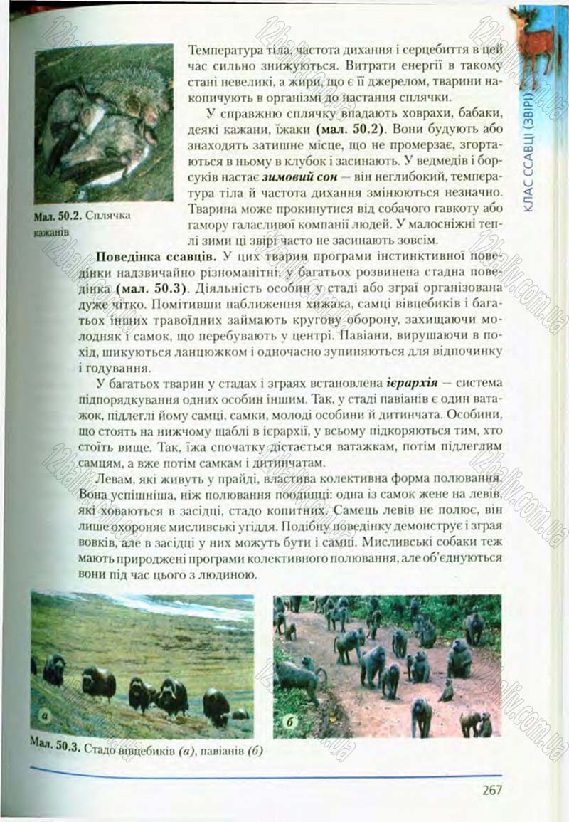Сторінка 267 - Підручник Біологія 8 клас Т.І. Базанова, Ю.В. Павіченко, О.Г. Шатровський 2008