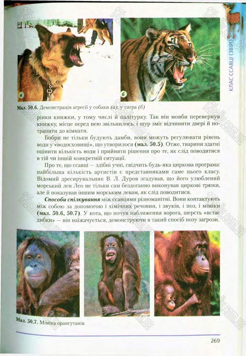 Сторінка 269 - Підручник Біологія 8 клас Т.І. Базанова, Ю.В. Павіченко, О.Г. Шатровський 2008