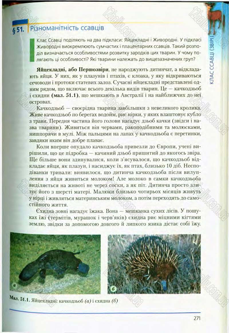 Сторінка 271 - Підручник Біологія 8 клас Т.І. Базанова, Ю.В. Павіченко, О.Г. Шатровський 2008