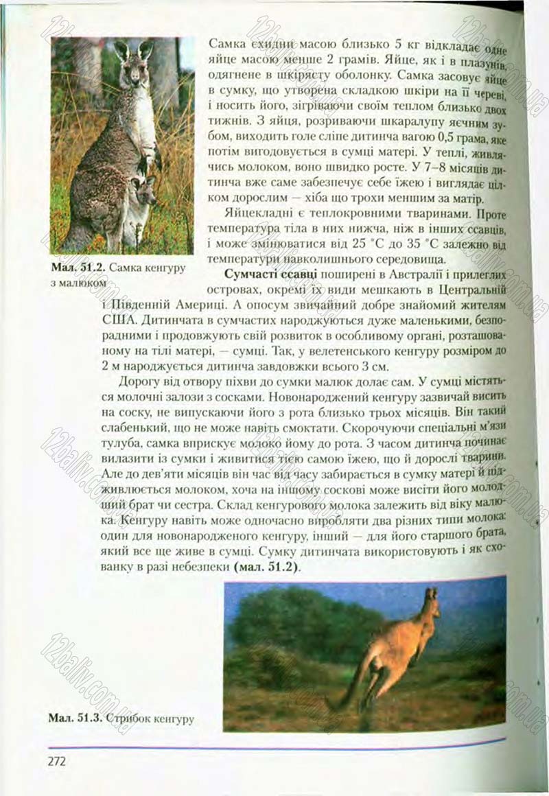 Сторінка 272 - Підручник Біологія 8 клас Т.І. Базанова, Ю.В. Павіченко, О.Г. Шатровський 2008