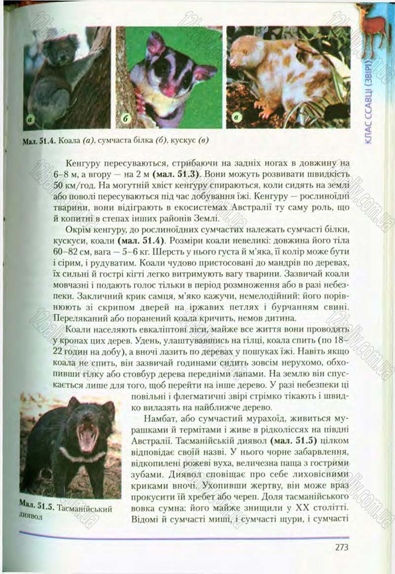 Сторінка 273 - Підручник Біологія 8 клас Т.І. Базанова, Ю.В. Павіченко, О.Г. Шатровський 2008