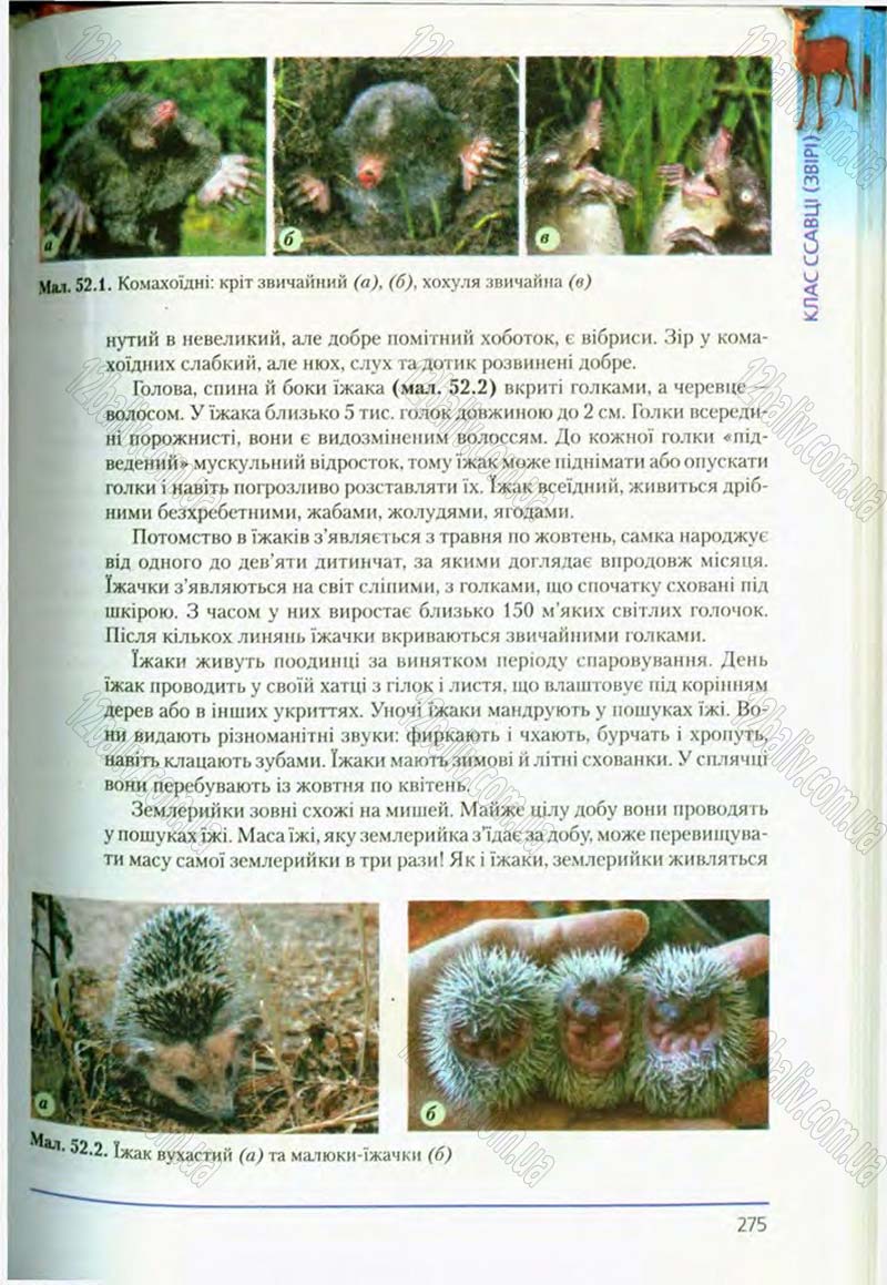 Сторінка 275 - Підручник Біологія 8 клас Т.І. Базанова, Ю.В. Павіченко, О.Г. Шатровський 2008