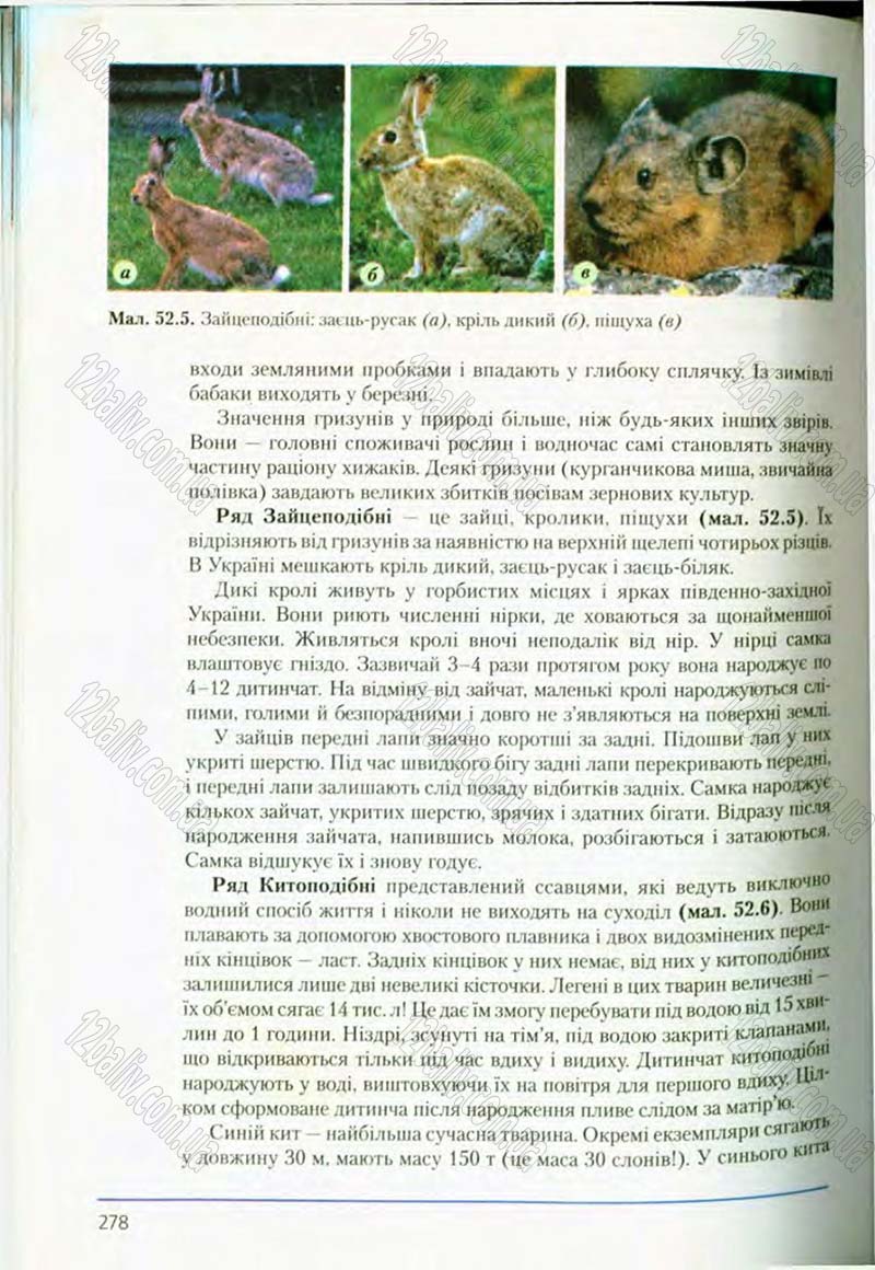 Сторінка 278 - Підручник Біологія 8 клас Т.І. Базанова, Ю.В. Павіченко, О.Г. Шатровський 2008