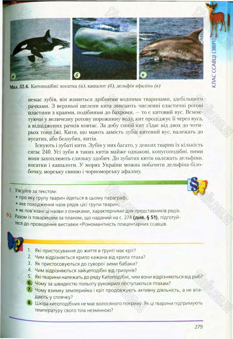 Сторінка 279 - Підручник Біологія 8 клас Т.І. Базанова, Ю.В. Павіченко, О.Г. Шатровський 2008