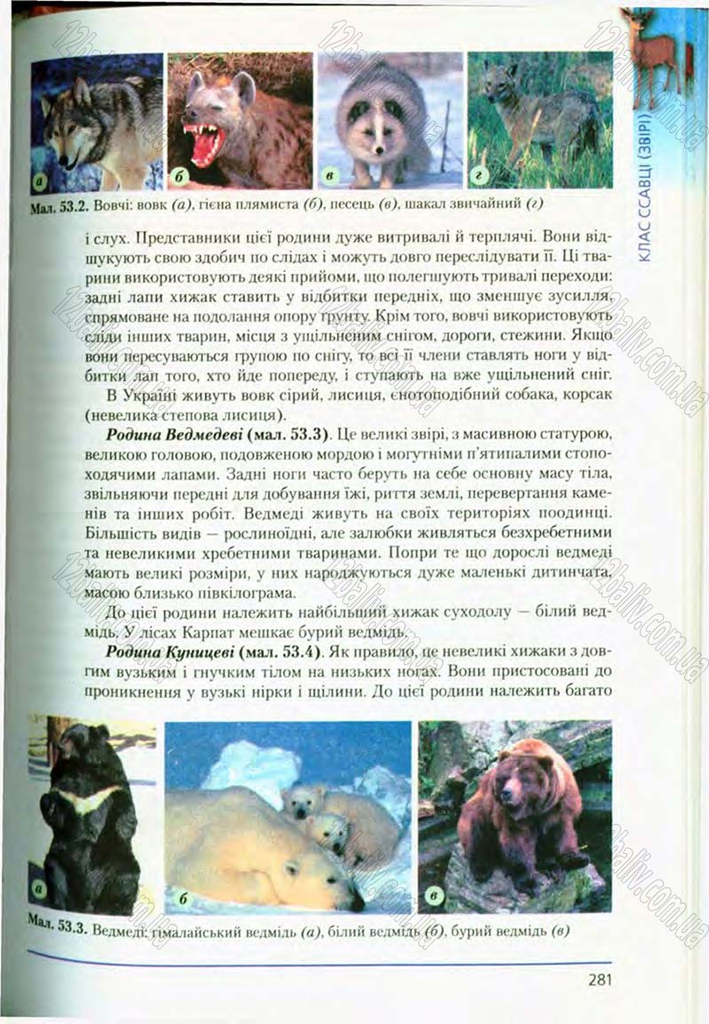 Сторінка 281 - Підручник Біологія 8 клас Т.І. Базанова, Ю.В. Павіченко, О.Г. Шатровський 2008