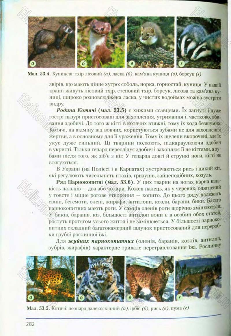 Сторінка 282 - Підручник Біологія 8 клас Т.І. Базанова, Ю.В. Павіченко, О.Г. Шатровський 2008