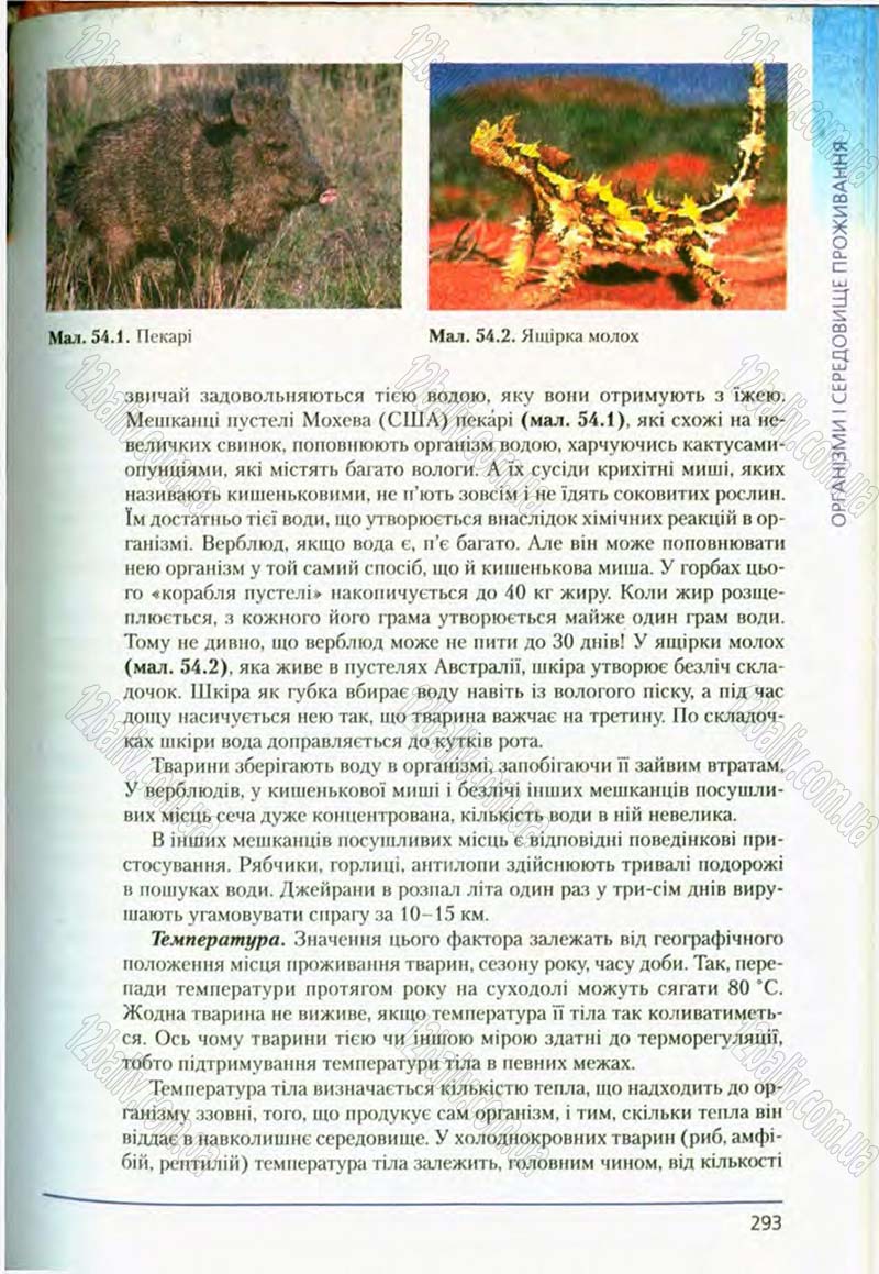 Сторінка 293 - Підручник Біологія 8 клас Т.І. Базанова, Ю.В. Павіченко, О.Г. Шатровський 2008