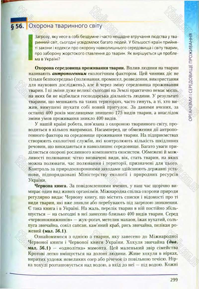 Сторінка 299 - Підручник Біологія 8 клас Т.І. Базанова, Ю.В. Павіченко, О.Г. Шатровський 2008
