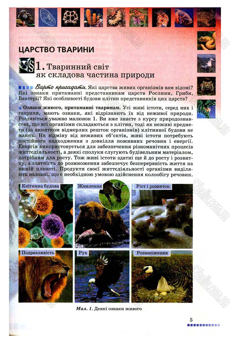 Сторінка 5 - Підручник Біологія 8 клас В.В. Серебряков, П.Г. Балан 2008