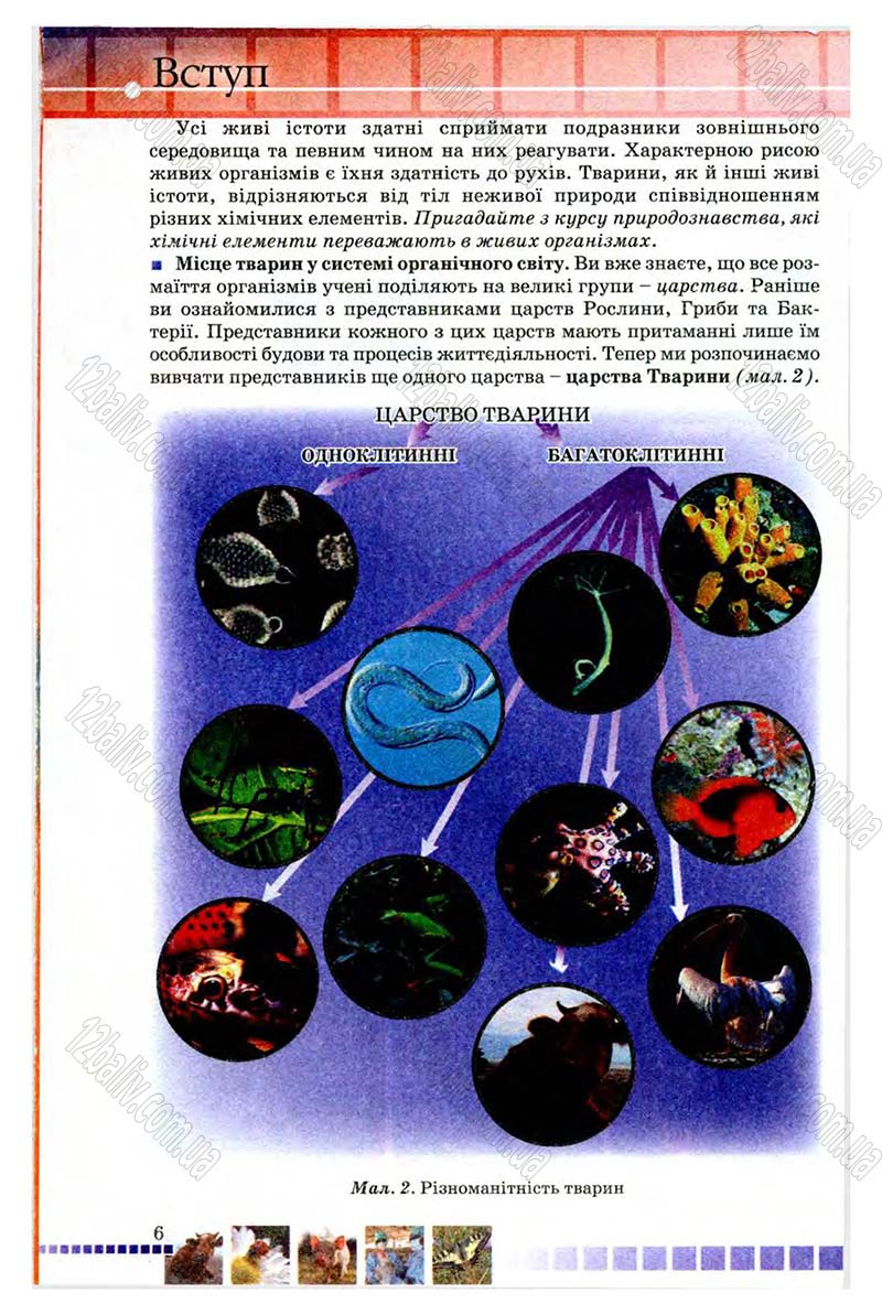 Сторінка 6 - Підручник Біологія 8 клас В.В. Серебряков, П.Г. Балан 2008