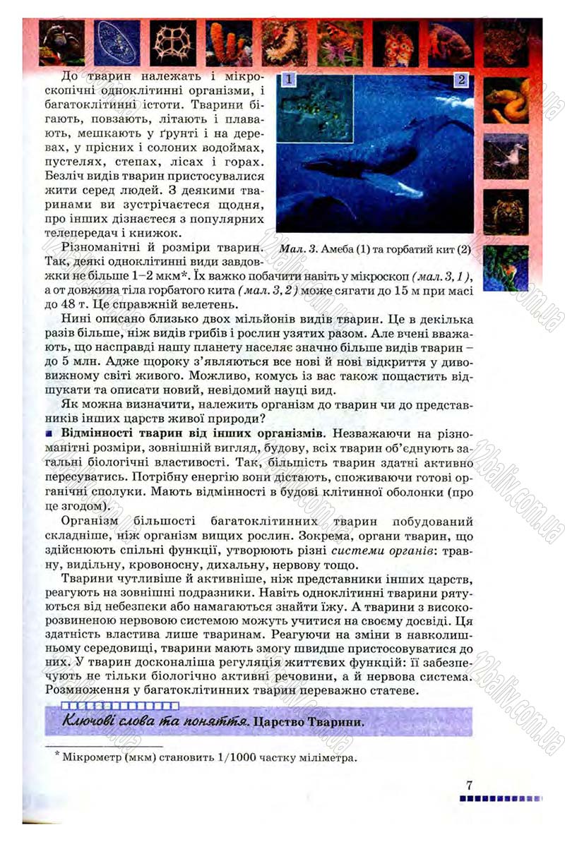Сторінка 7 - Підручник Біологія 8 клас В.В. Серебряков, П.Г. Балан 2008