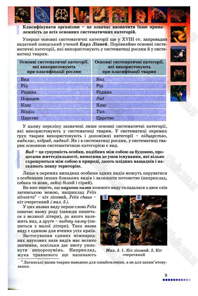 Сторінка 9 - Підручник Біологія 8 клас В.В. Серебряков, П.Г. Балан 2008