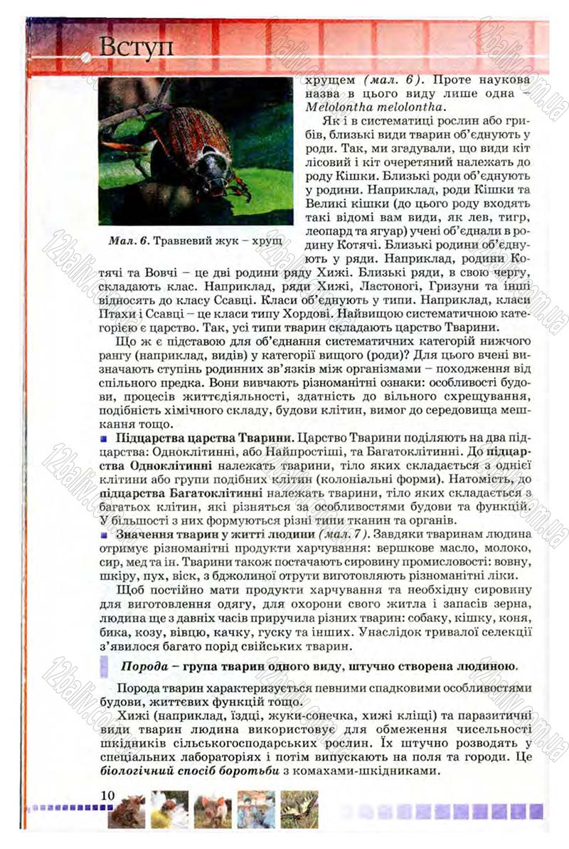 Сторінка 10 - Підручник Біологія 8 клас В.В. Серебряков, П.Г. Балан 2008
