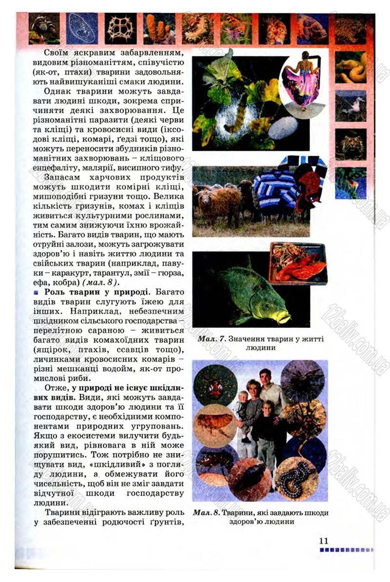 Сторінка 11 - Підручник Біологія 8 клас В.В. Серебряков, П.Г. Балан 2008