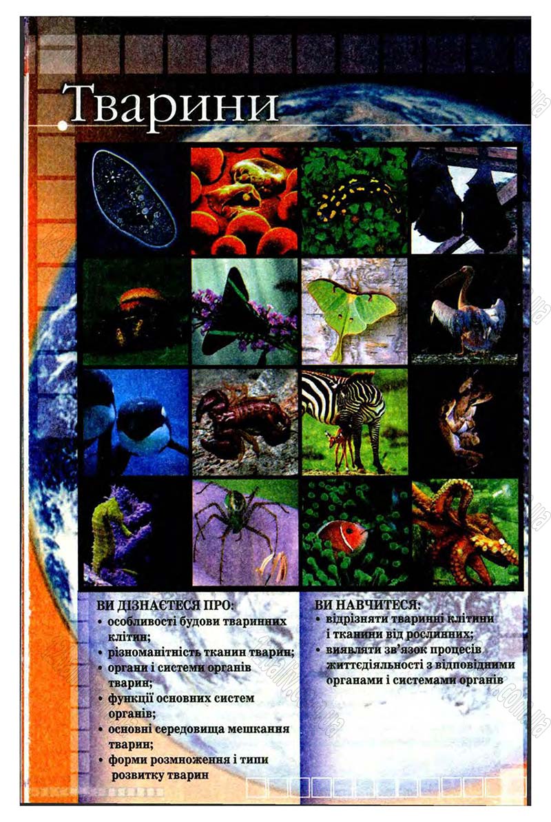 Сторінка 14 - Підручник Біологія 8 клас В.В. Серебряков, П.Г. Балан 2008