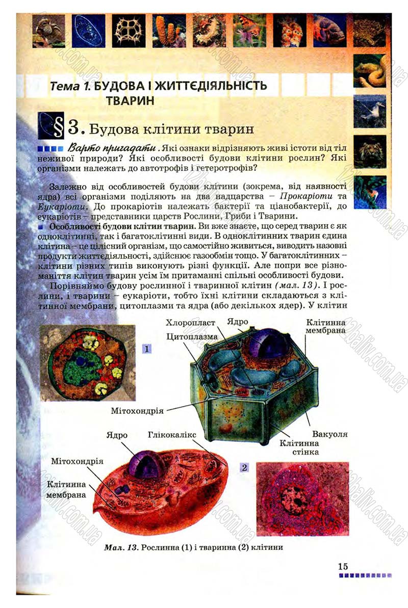 Сторінка 15 - Підручник Біологія 8 клас В.В. Серебряков, П.Г. Балан 2008