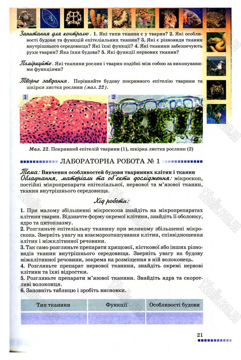 Сторінка 21 - Підручник Біологія 8 клас В.В. Серебряков, П.Г. Балан 2008