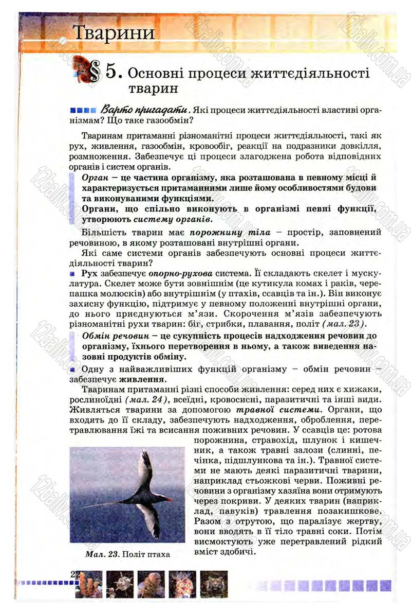 Сторінка 22 - Підручник Біологія 8 клас В.В. Серебряков, П.Г. Балан 2008