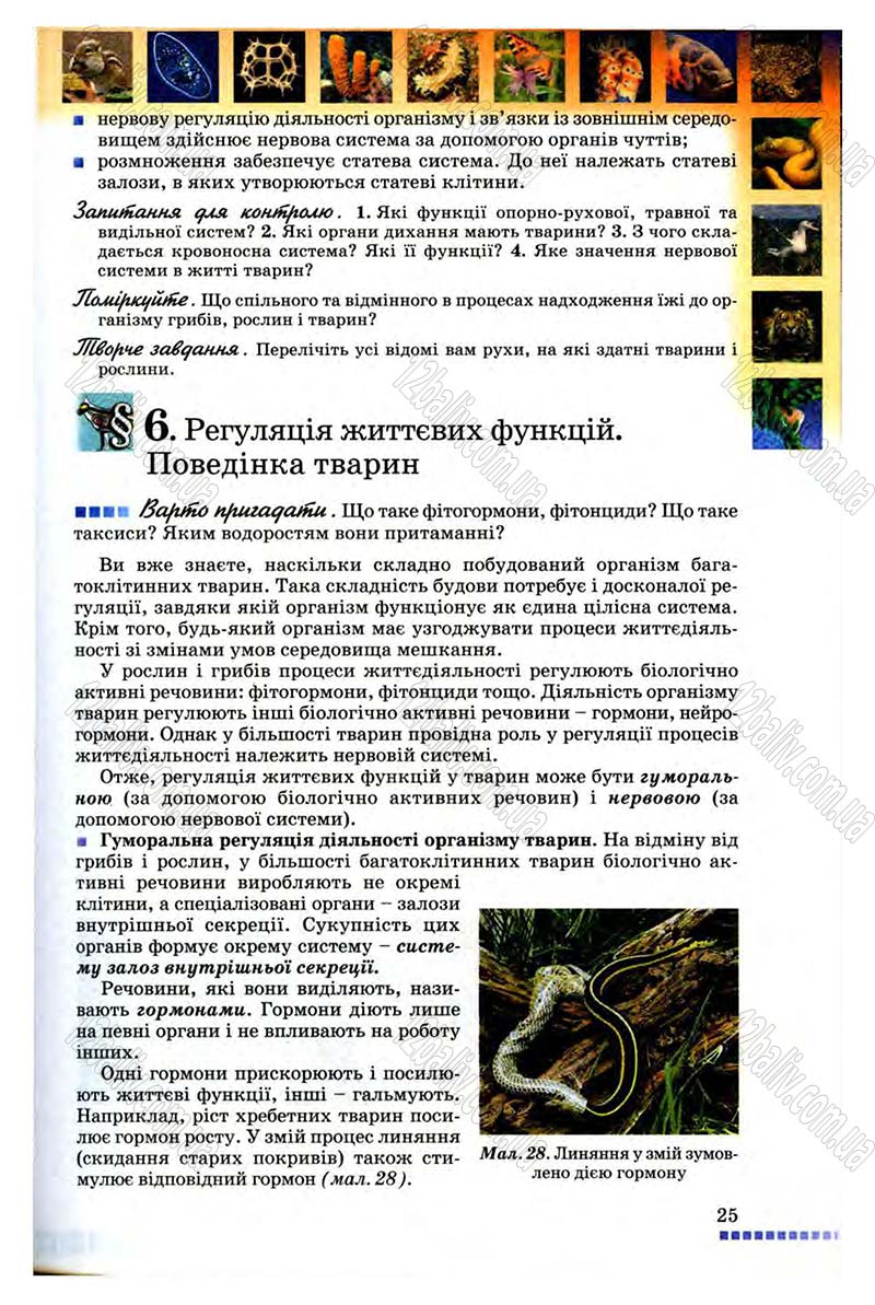 Сторінка 25 - Підручник Біологія 8 клас В.В. Серебряков, П.Г. Балан 2008