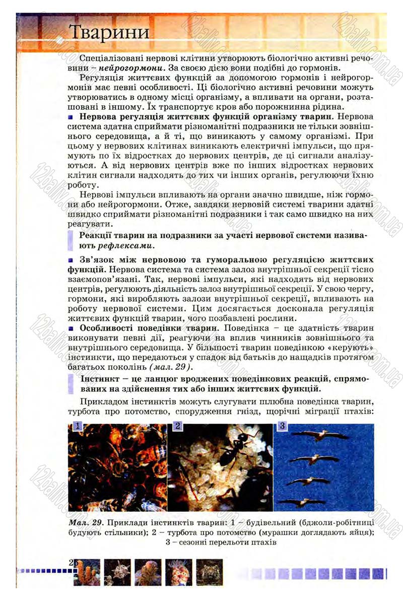 Сторінка 26 - Підручник Біологія 8 клас В.В. Серебряков, П.Г. Балан 2008