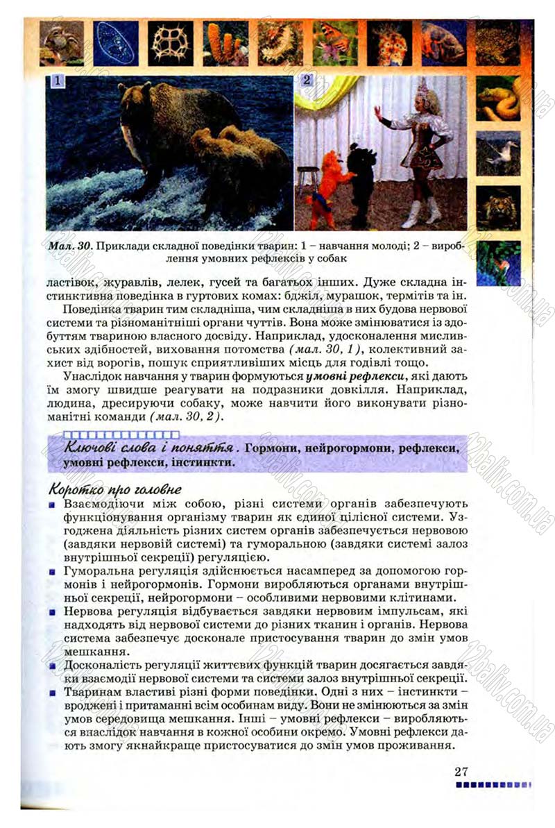 Сторінка 27 - Підручник Біологія 8 клас В.В. Серебряков, П.Г. Балан 2008