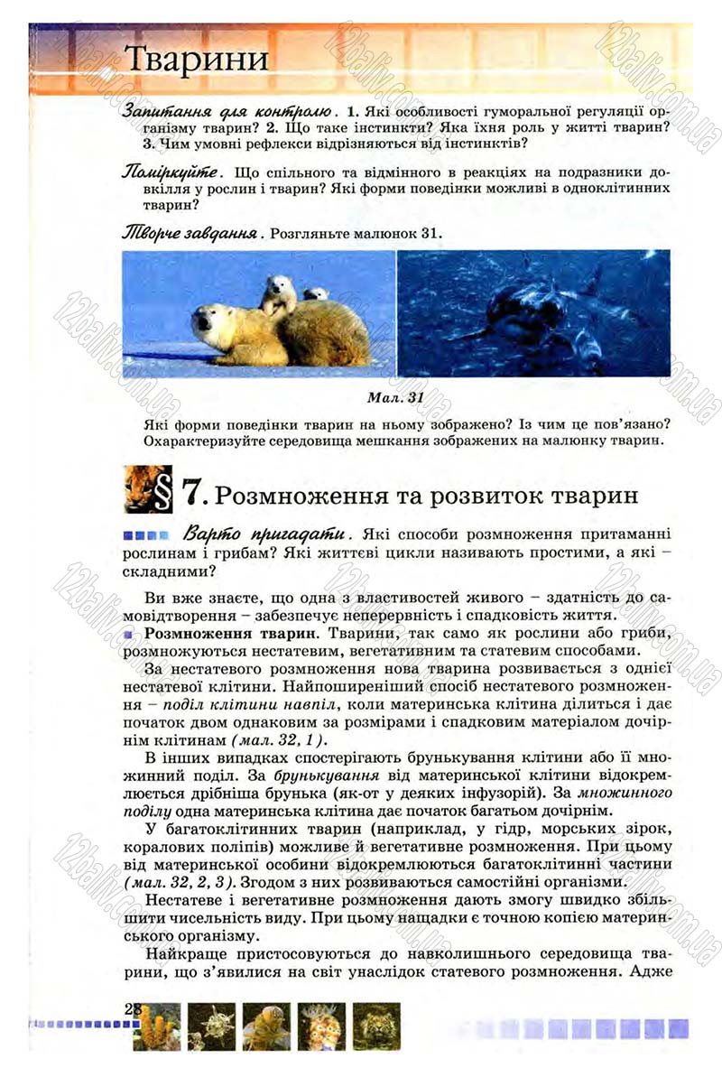 Сторінка 28 - Підручник Біологія 8 клас В.В. Серебряков, П.Г. Балан 2008