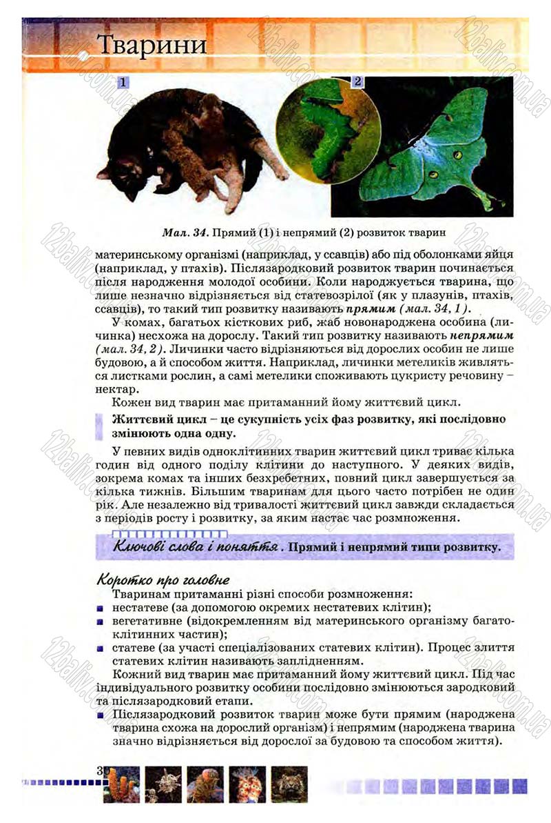 Сторінка 30 - Підручник Біологія 8 клас В.В. Серебряков, П.Г. Балан 2008