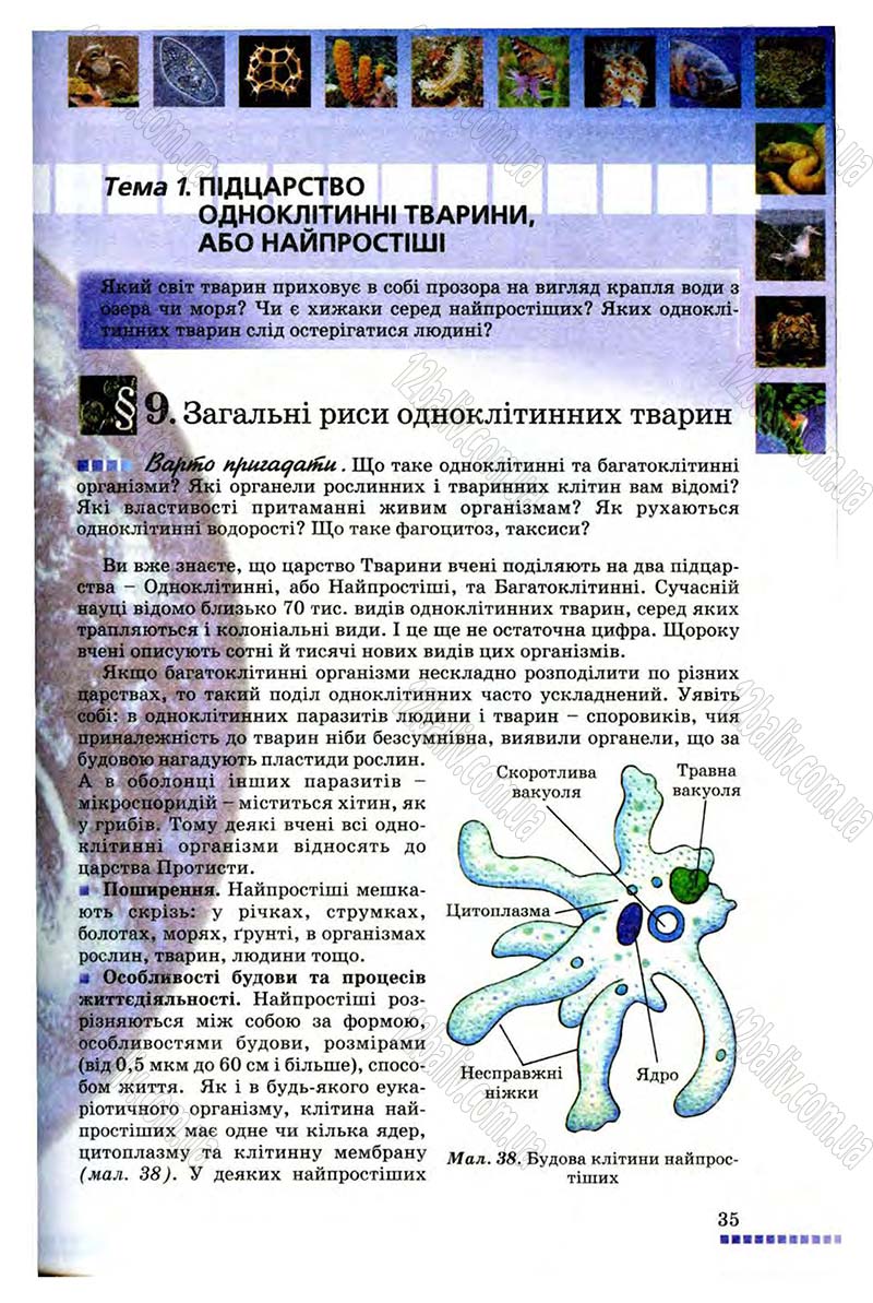 Сторінка 35 - Підручник Біологія 8 клас В.В. Серебряков, П.Г. Балан 2008