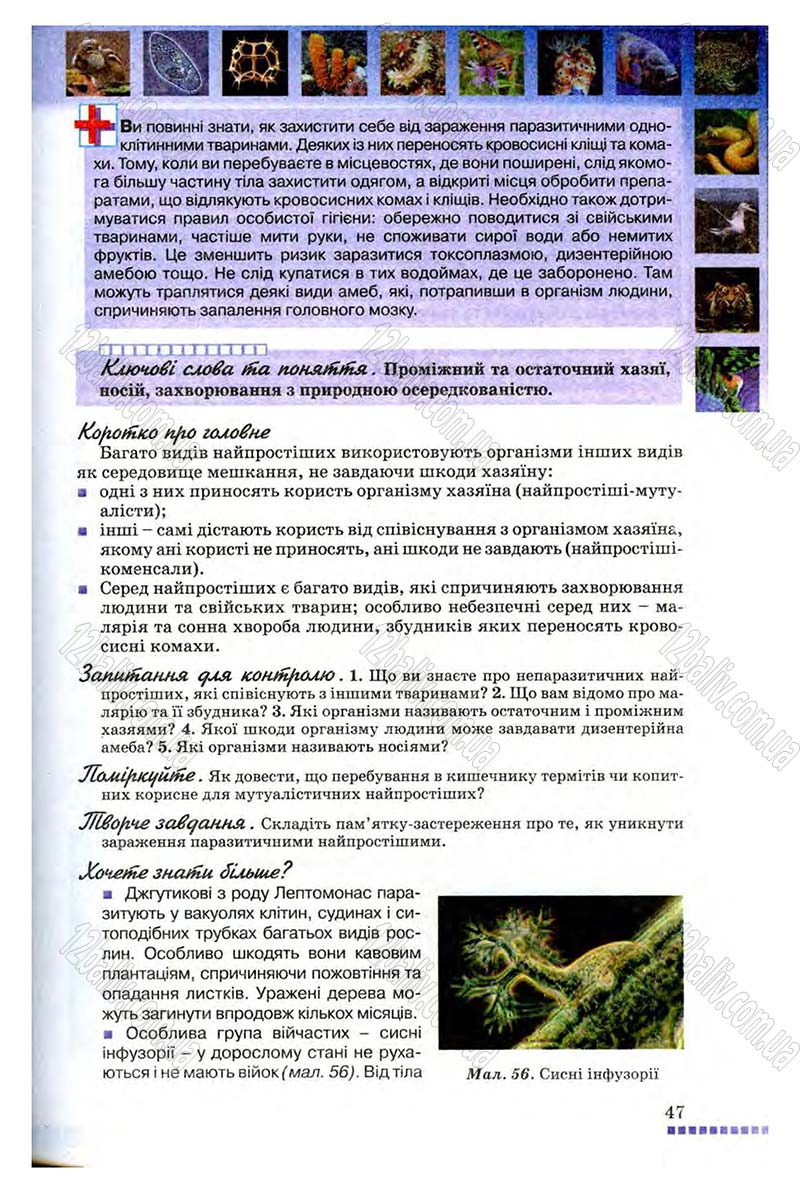 Сторінка 47 - Підручник Біологія 8 клас В.В. Серебряков, П.Г. Балан 2008