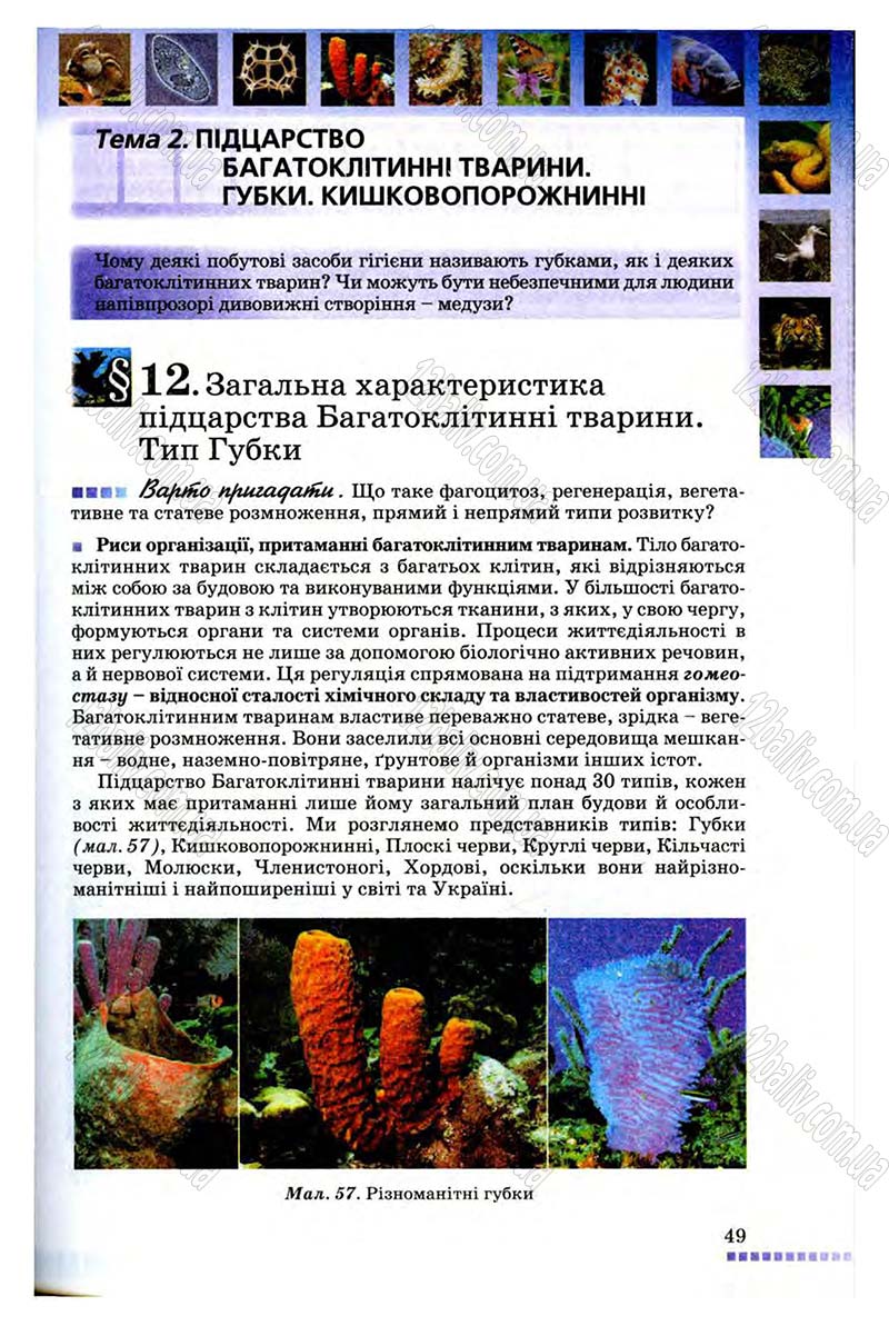 Сторінка 49 - Підручник Біологія 8 клас В.В. Серебряков, П.Г. Балан 2008