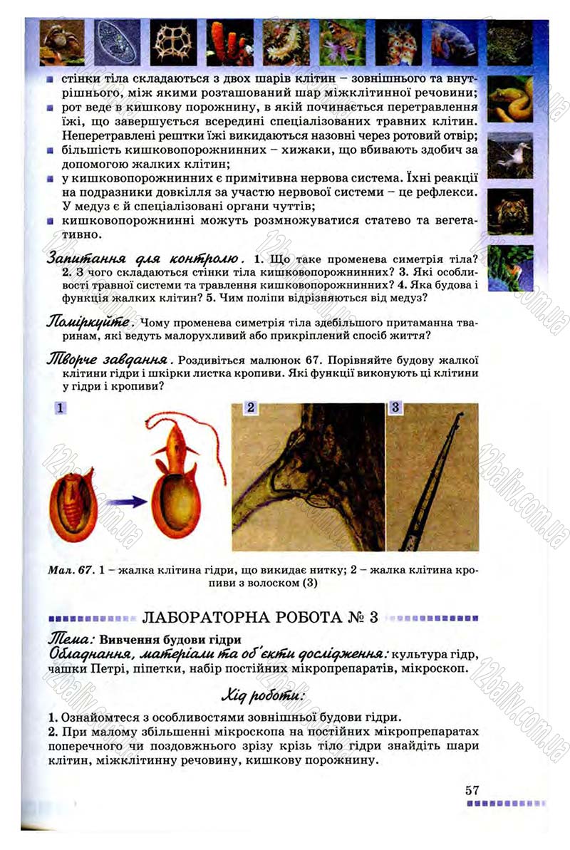 Сторінка 57 - Підручник Біологія 8 клас В.В. Серебряков, П.Г. Балан 2008
