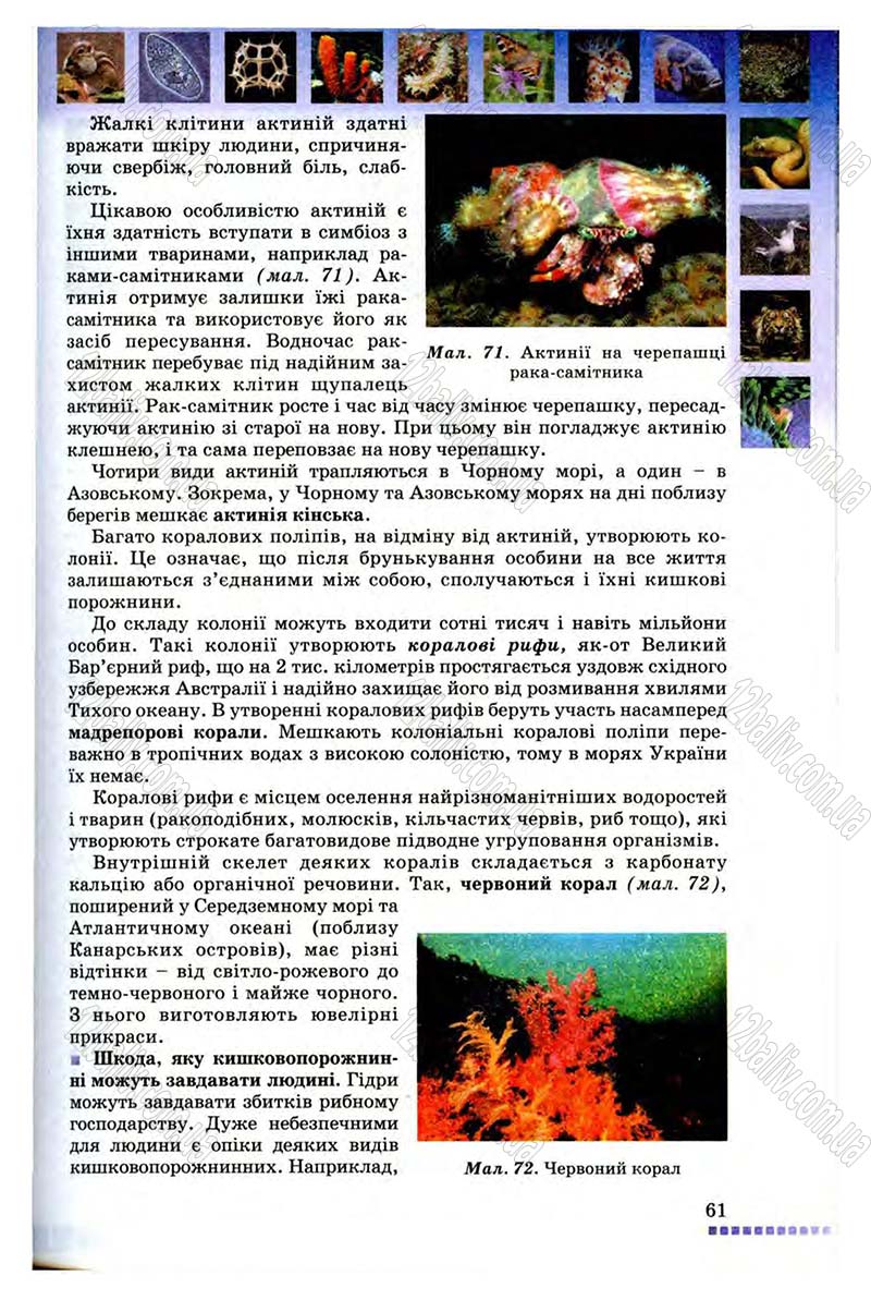 Сторінка 61 - Підручник Біологія 8 клас В.В. Серебряков, П.Г. Балан 2008