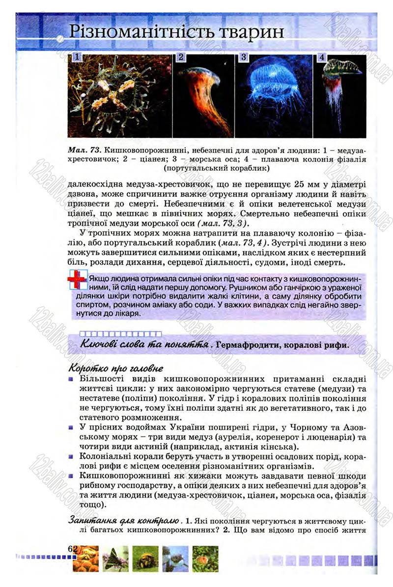 Сторінка 62 - Підручник Біологія 8 клас В.В. Серебряков, П.Г. Балан 2008