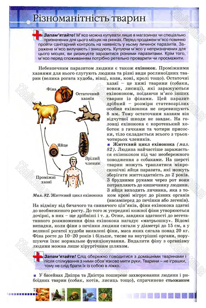 Сторінка 72 - Підручник Біологія 8 клас В.В. Серебряков, П.Г. Балан 2008
