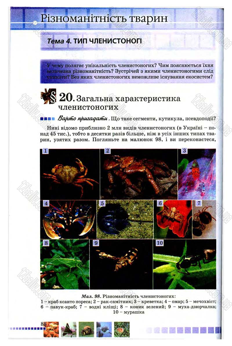 Сторінка 88 - Підручник Біологія 8 клас В.В. Серебряков, П.Г. Балан 2008