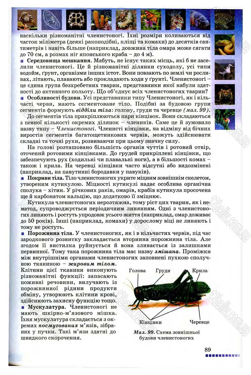 Сторінка 89 - Підручник Біологія 8 клас В.В. Серебряков, П.Г. Балан 2008