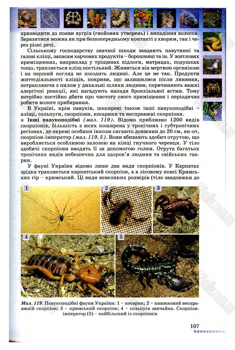 Сторінка 107 - Підручник Біологія 8 клас В.В. Серебряков, П.Г. Балан 2008